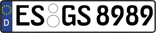 ES-GS8989