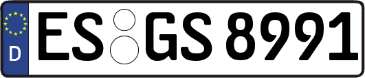 ES-GS8991