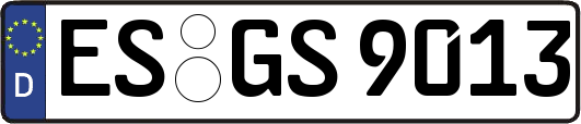 ES-GS9013