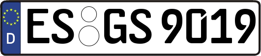 ES-GS9019