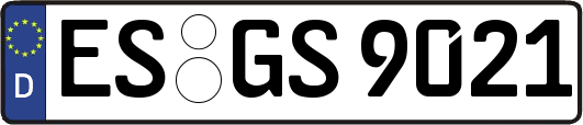 ES-GS9021