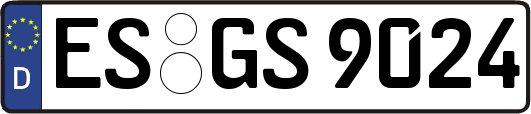ES-GS9024