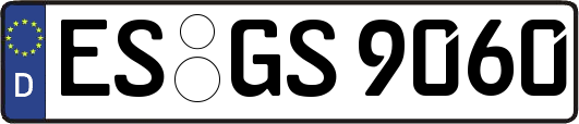 ES-GS9060