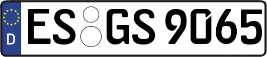 ES-GS9065