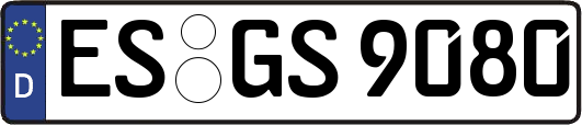 ES-GS9080