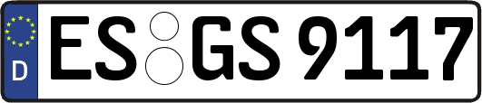ES-GS9117