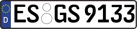 ES-GS9133