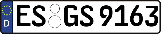 ES-GS9163