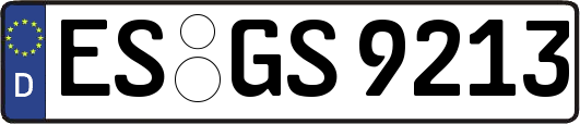ES-GS9213