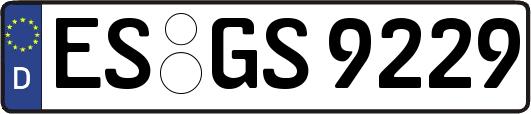 ES-GS9229