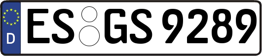 ES-GS9289