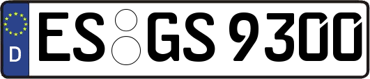 ES-GS9300