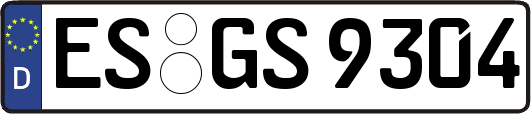 ES-GS9304