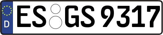 ES-GS9317