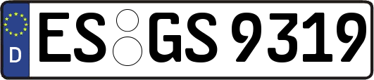 ES-GS9319