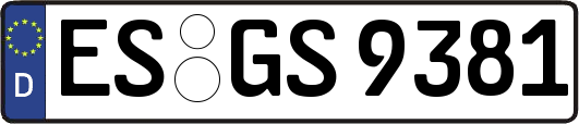 ES-GS9381