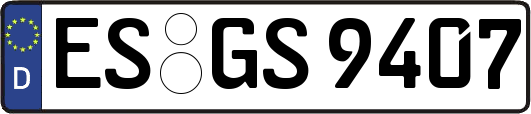 ES-GS9407