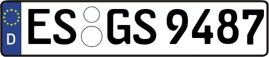 ES-GS9487