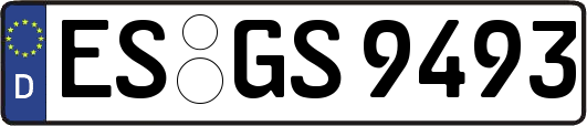 ES-GS9493