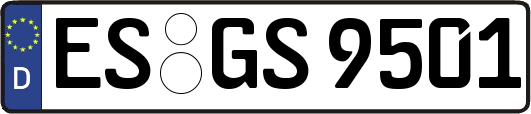 ES-GS9501