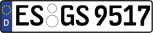 ES-GS9517