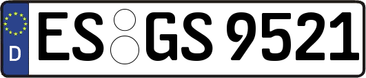 ES-GS9521