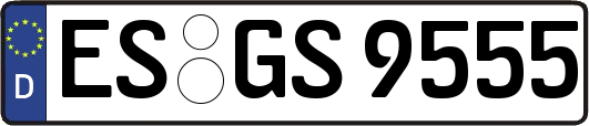 ES-GS9555