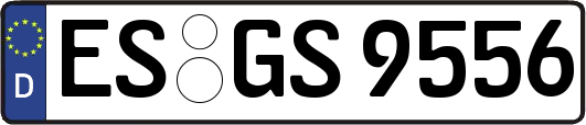 ES-GS9556