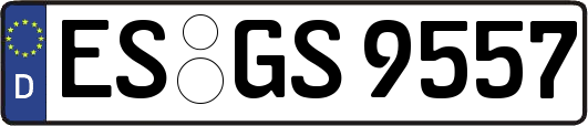ES-GS9557