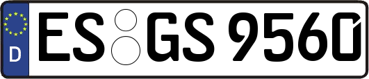 ES-GS9560