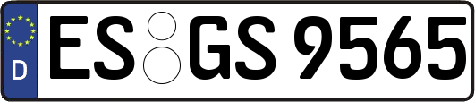 ES-GS9565