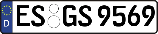 ES-GS9569