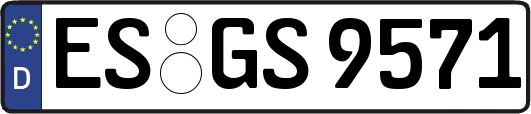 ES-GS9571