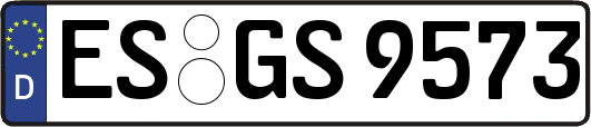 ES-GS9573