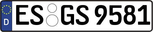 ES-GS9581