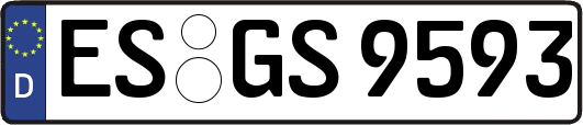 ES-GS9593