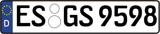 ES-GS9598