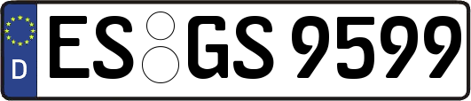 ES-GS9599