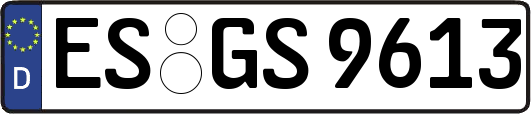 ES-GS9613