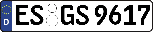 ES-GS9617