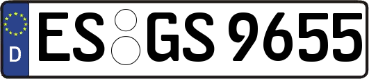 ES-GS9655