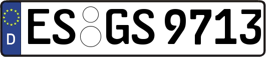 ES-GS9713
