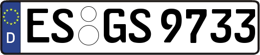 ES-GS9733