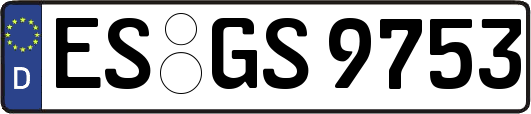 ES-GS9753