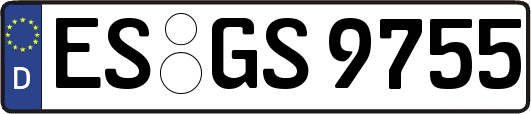 ES-GS9755