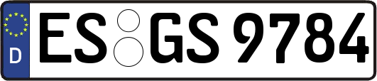 ES-GS9784