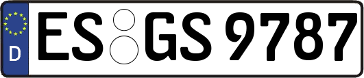 ES-GS9787