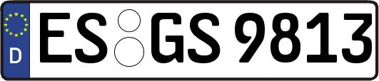 ES-GS9813
