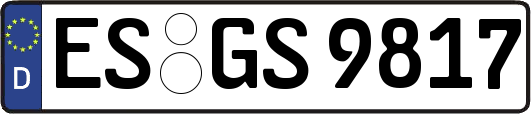 ES-GS9817