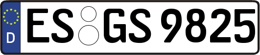 ES-GS9825